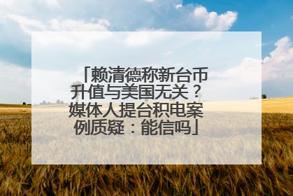 赖清德称新台币升值与美国无关？媒体人提台积电案例质疑：能信吗