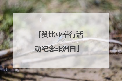 赞比亚举行活动纪念非洲日