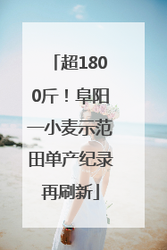 超1800斤！阜阳一小麦示范田单产纪录再刷新