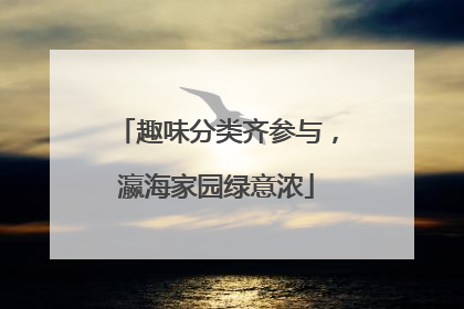 趣味分类齐参与，瀛海家园绿意浓