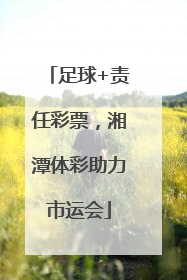 足球+责任彩票，湘潭体彩助力市运会
