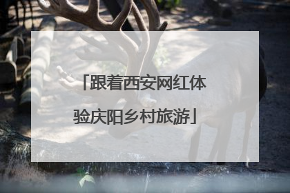 跟着西安网红体验庆阳乡村旅游