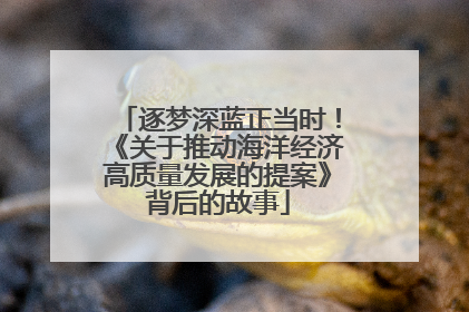 逐梦深蓝正当时！《关于推动海洋经济高质量发展的提案》背后的故事