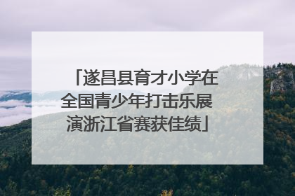 遂昌县育才小学在全国青少年打击乐展演浙江省赛获佳绩