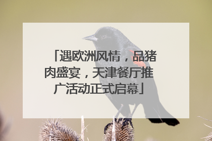 遇欧洲风情，品猪肉盛宴，天津餐厅推广活动正式启幕