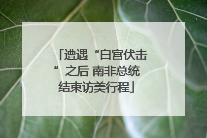 遭遇“白宫伏击”之后 南非总统结束访美行程