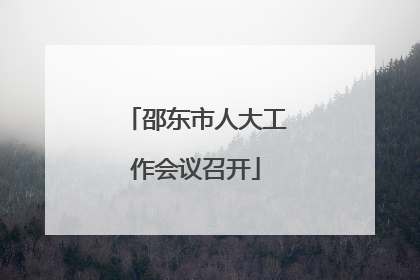 邵东市人大工作会议召开
