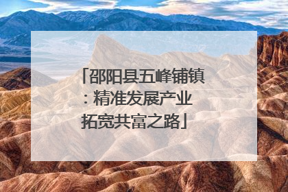 邵阳县五峰铺镇：精准发展产业 拓宽共富之路