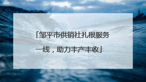 邹平市供销社扎根服务一线，助力丰产丰收