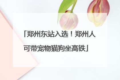 郑州东站入选！郑州人可带宠物猫狗坐高铁