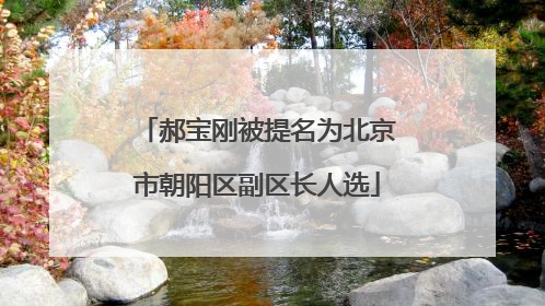 郝宝刚被提名为北京市朝阳区副区长人选