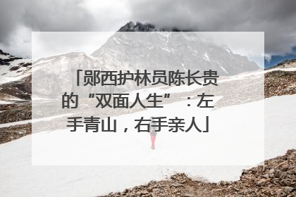 郧西护林员陈长贵的“双面人生”：左手青山，右手亲人