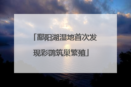 鄱阳湖湿地首次发现彩鹮筑巢繁殖
