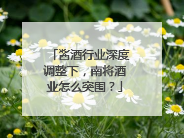 酱酒行业深度调整下，南将酒业怎么突围？
