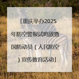 重庆举办2025年防空警报试鸣放暨国防动员（人民防空）宣传教育活动