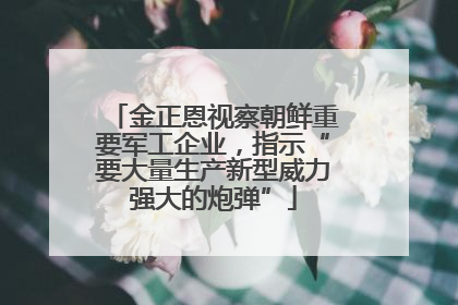 金正恩视察朝鲜重要军工企业，指示“要大量生产新型威力强大的炮弹”