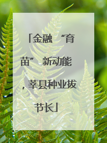 金融 “育苗” 新动能，莘县种业拔节长