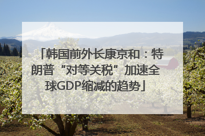 韩国前外长康京和：特朗普“对等关税”加速全球GDP缩减的趋势
