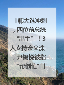 韩大选冲刺，四位前总统“出手”！3人支持金文洙，尹锡悦被指“帮倒忙”