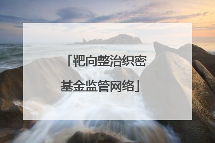 靶向整治织密基金监管网络