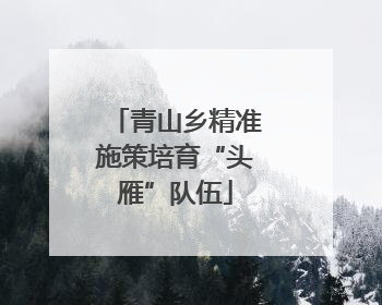 青山乡精准施策培育“头雁”队伍