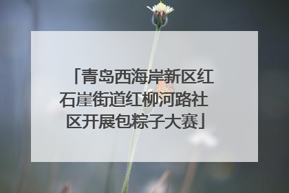 青岛西海岸新区红石崖街道红柳河路社区开展包粽子大赛