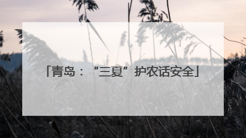 青岛：“三夏”护农话安全