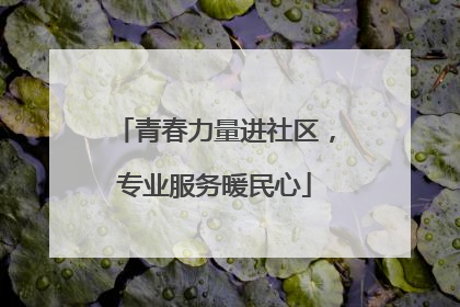 青春力量进社区，专业服务暖民心