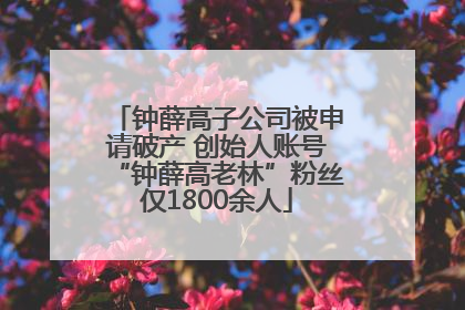钟薛高子公司被申请破产 创始人账号“钟薛高老林”粉丝仅1800余人