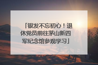 银发不忘初心！退休党员前往茅山新四军纪念馆参观学习