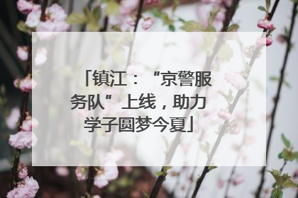 镇江：“京警服务队”上线，助力学子圆梦今夏