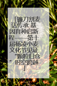 镰刀割麦话传承 基因育种启新程——第十届杨凌小麦文化节见证“颗粒归仓”时空跨越