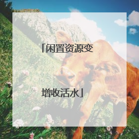 闲置资源变增收活水
