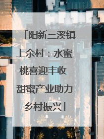 阳新三溪镇上余村：水蜜桃喜迎丰收 甜蜜产业助力乡村振兴