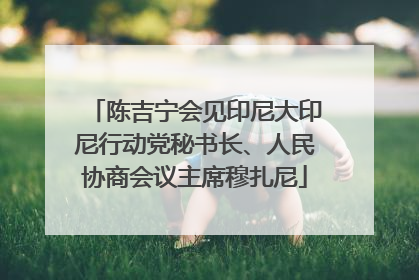 陈吉宁会见印尼大印尼行动党秘书长、人民协商会议主席穆扎尼