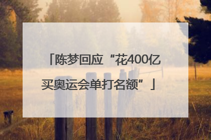 陈梦回应“花400亿买奥运会单打名额”