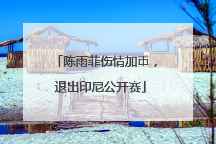陈雨菲伤情加重，退出印尼公开赛