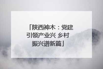 陕西神木：党建引领产业兴 乡村振兴谱新篇