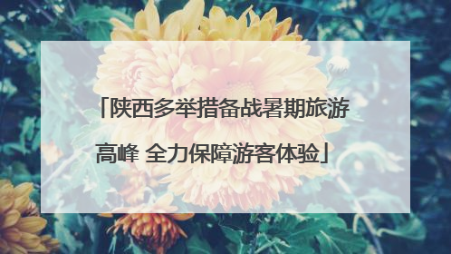 陕西多举措备战暑期旅游高峰 全力保障游客体验