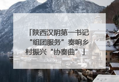 陕西汉阴第一书记“组团服务”奏响乡村振兴“协奏曲”