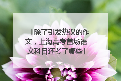 除了引发热议的作文，上海高考首场语文科目还考了哪些