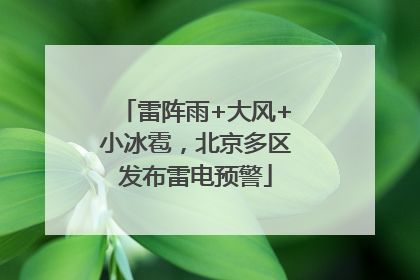 雷阵雨+大风+小冰雹，北京多区发布雷电预警