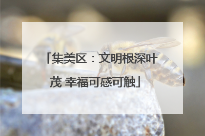 集美区：文明根深叶茂 幸福可感可触