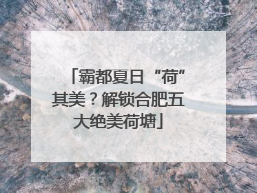 霸都夏日“荷”其美？解锁合肥五大绝美荷塘