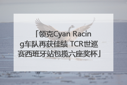 领克Cyan Racing车队再获佳绩 TCR世巡赛西班牙站包揽六座奖杯
