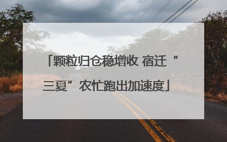 颗粒归仓稳增收 宿迁“三夏”农忙跑出加速度