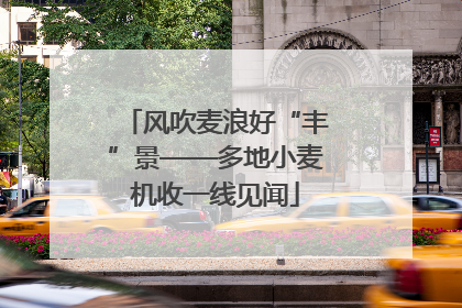 风吹麦浪好“丰”景——多地小麦机收一线见闻