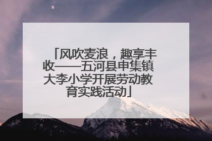 风吹麦浪，趣享丰收——五河县申集镇大李小学开展劳动教育实践活动
