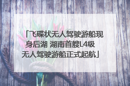 飞碟状无人驾驶游船现身后湖 湖南首艘L4级无人驾驶游船正式起航