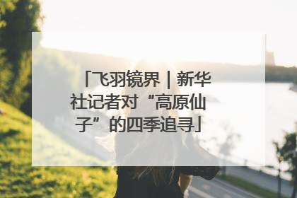 飞羽镜界｜新华社记者对“高原仙子”的四季追寻